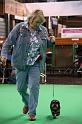 Crufts2011_2 1543